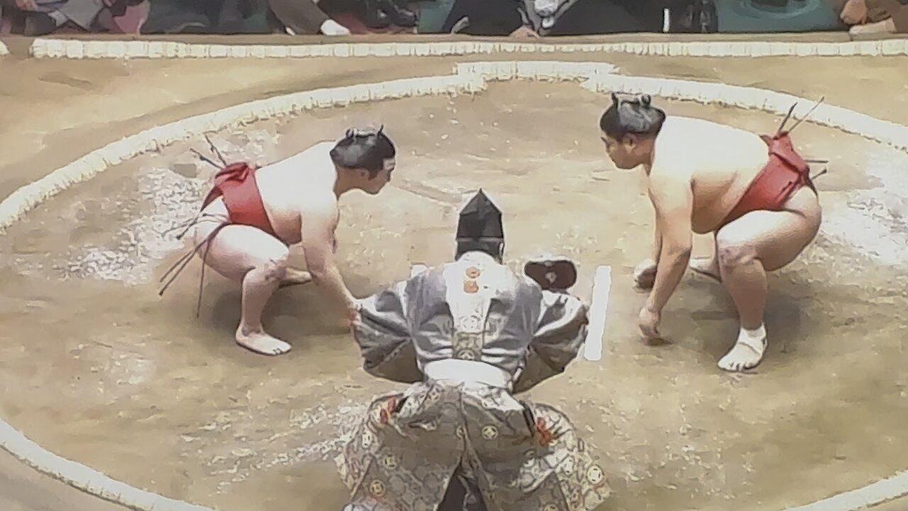 Sumo
