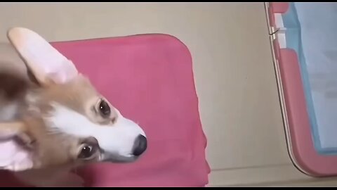 Yu Menglong 于朦朧