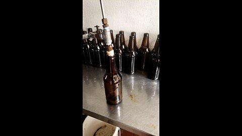 Hammond Hill pale ale