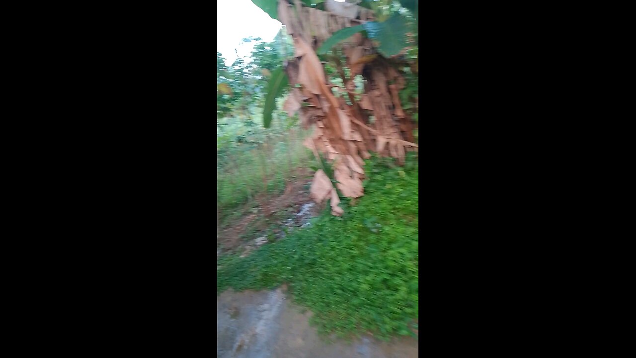 TikTok account