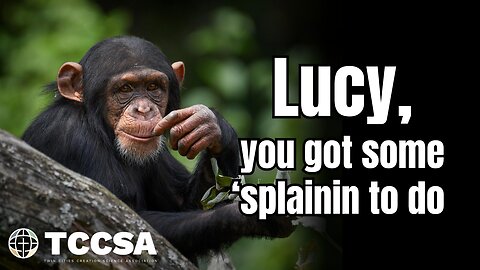 Lucy, You Got Some 'Splainin to Do - Chris Rupe