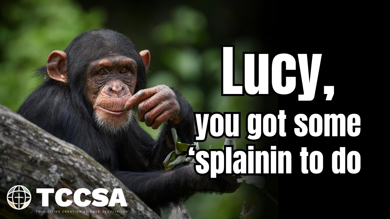 Lucy, You Got Some 'Splainin to Do - Chris Rupe