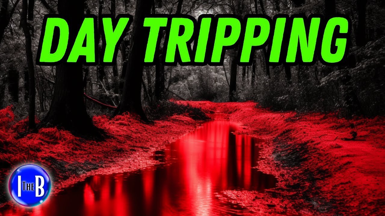 They Should NEVER Have Entered This Forest… | 1992 Wasatch Siren Case (Utah) – True Mystery