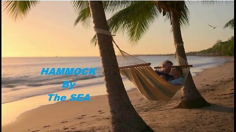 "Hammock by the Sea" - Lyric Factory (2026) - SONG VIDEO