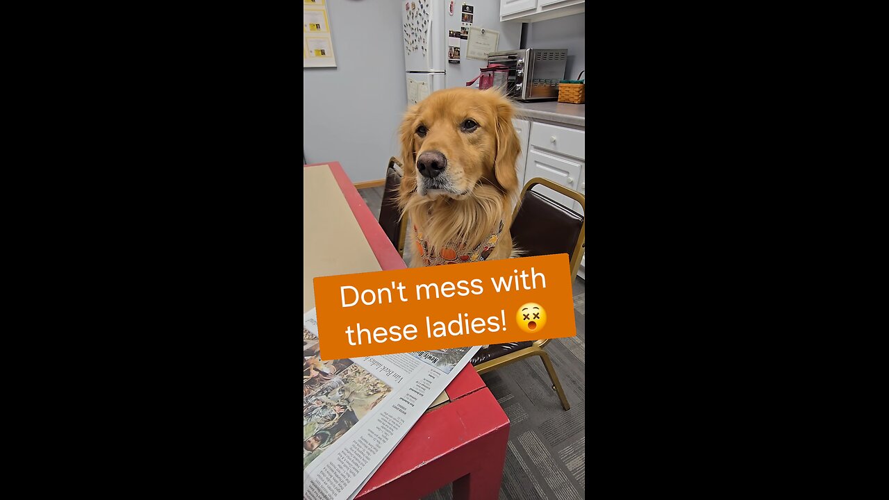 Don't mess with these ladies! 😵