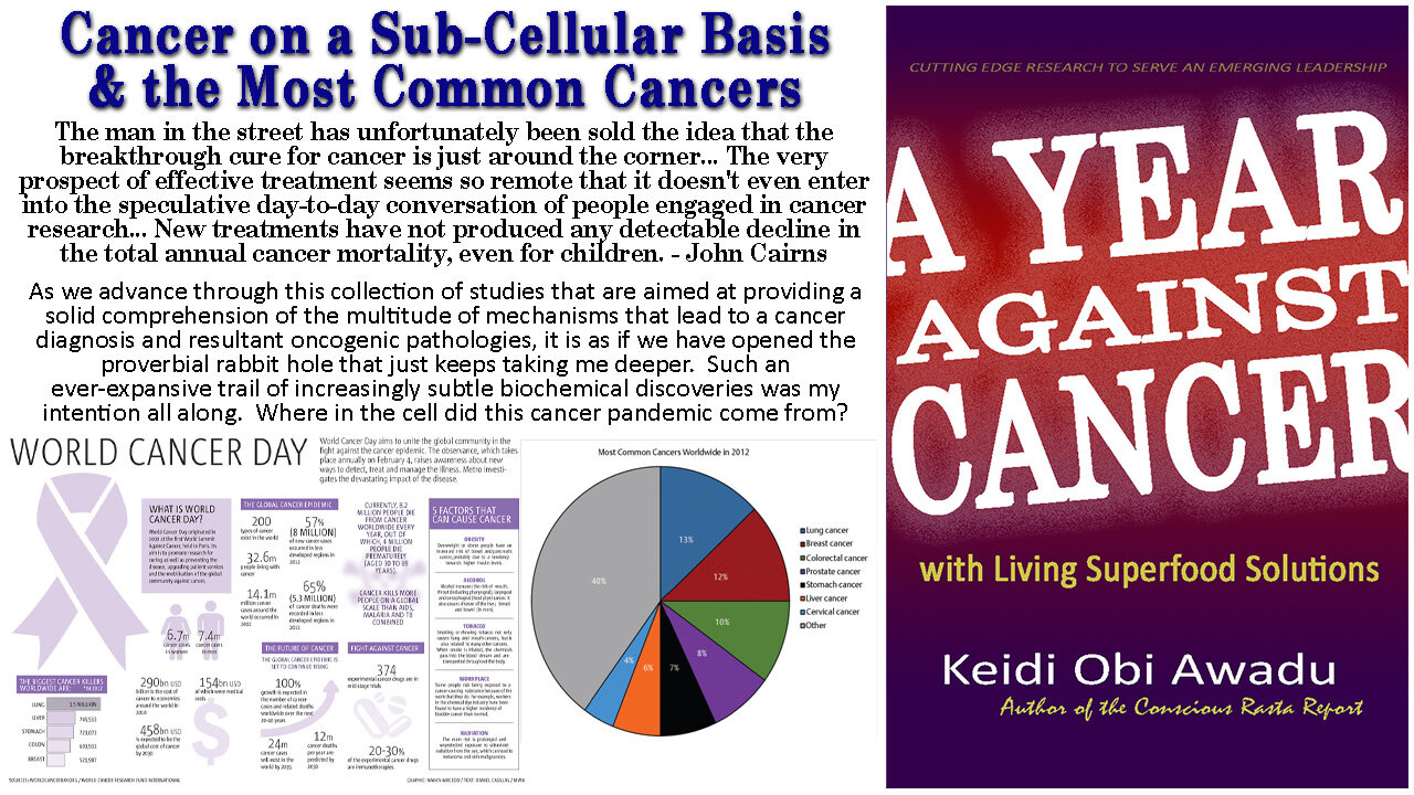Cancer on a Sub-Cellular Basis and the 12 Most Common Cancers