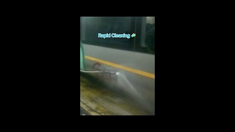 Rapid Paint Removal