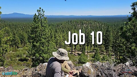 Job 10