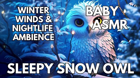 🍼 Sleepy Snow Owl Ambience | Winter Winds & Nightlife | 4K Baby & Toddler ASMR | Winter