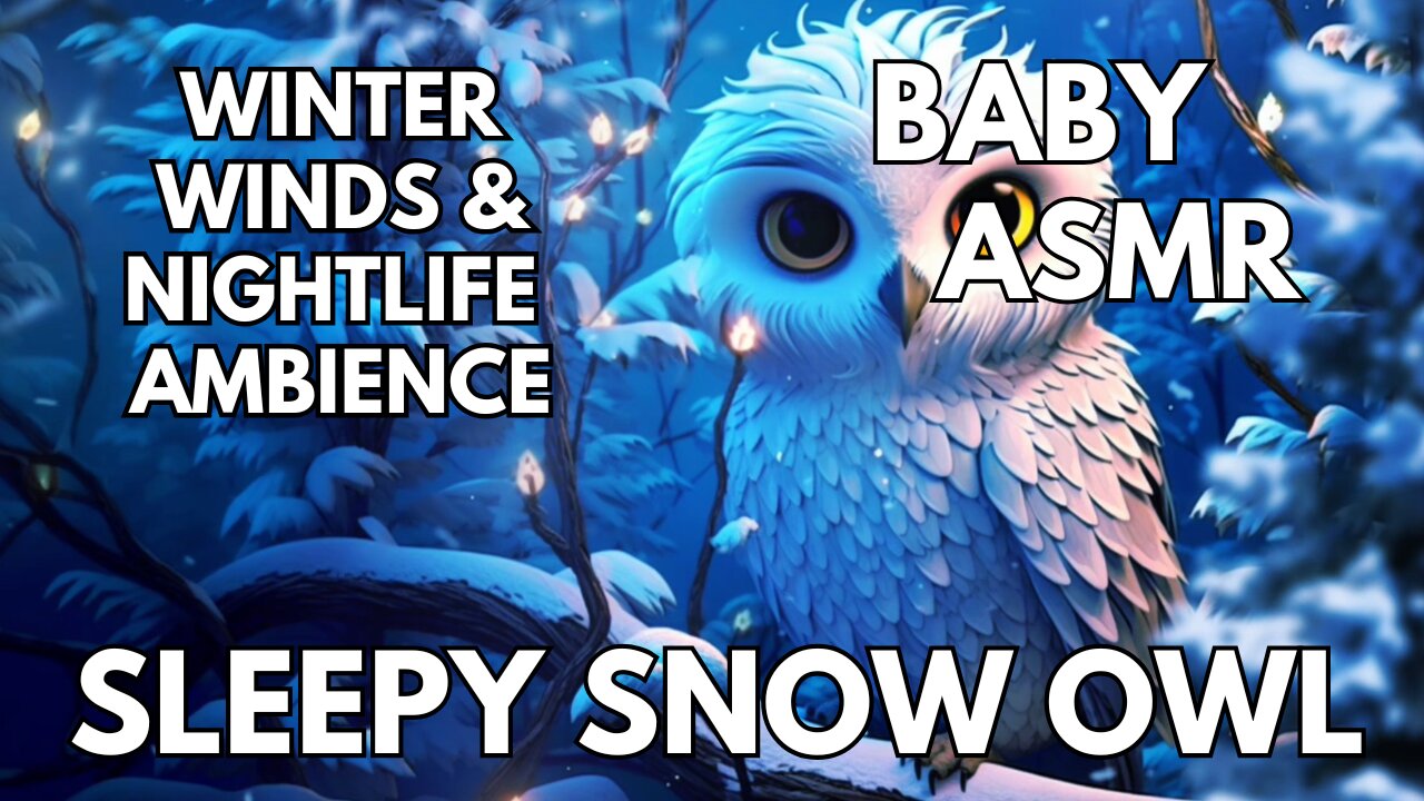 🍼 Sleepy Snow Owl Ambience | Winter Winds & Nightlife | 4K Baby & Toddler ASMR | Winter
