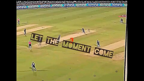 Craziest Cricket Moment Ever Caught on Camera