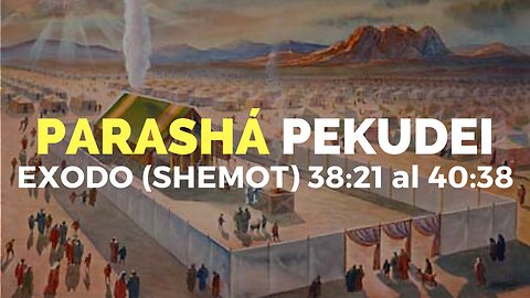 REGRESANDO A CASA AL VERDADERO OLIVO DE LA TORAH - PARASHAT #23 "PEKUDEI" (LAS CUENTAS)