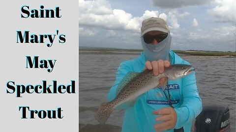 Saint Mary's Mid-May Specks