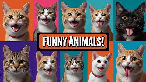 Funny Animals Video Part 1 #funnyanimals #catvideos