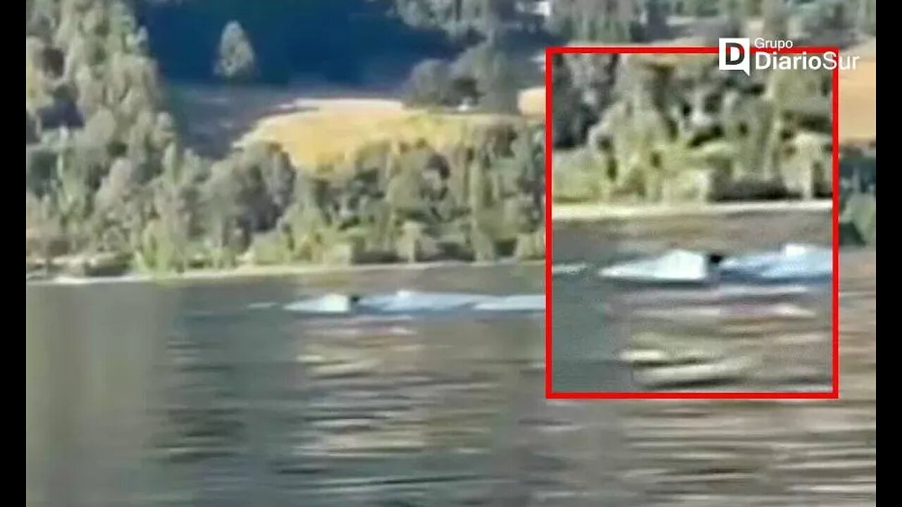 Lake Ranco monster