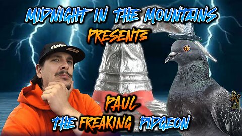 Paul The Pigeon Debute | Ask Paul Anything | 24/7 Channel