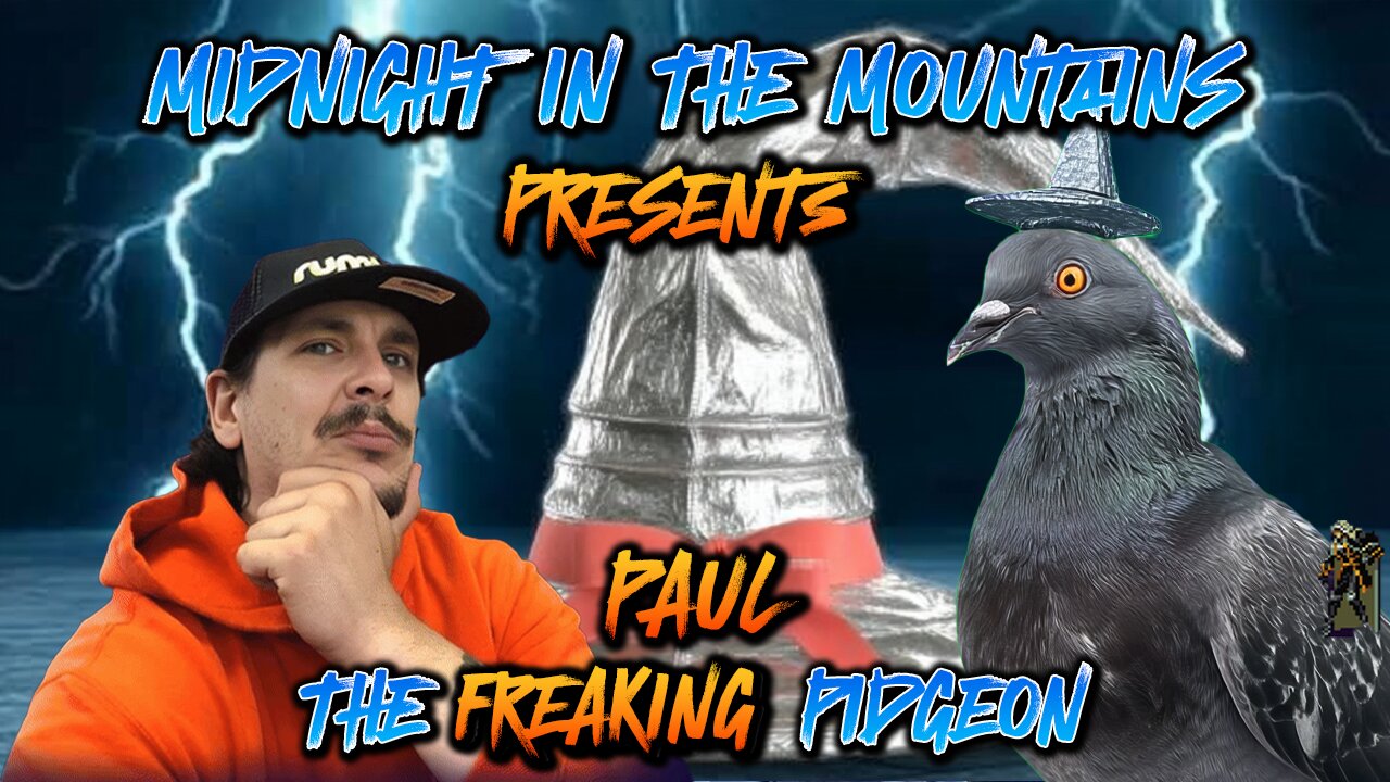 Paul The Pigeon Debute | Ask Paul Anything | 24/7 Channel