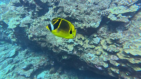 Lanai Cathedrals July 18, 2025