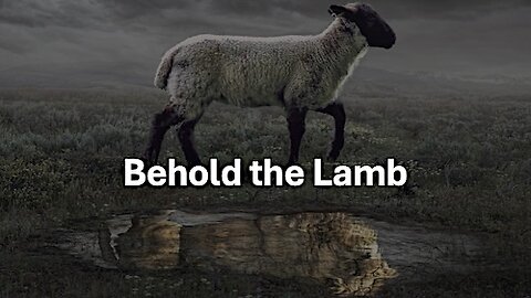 Behold the Lamb