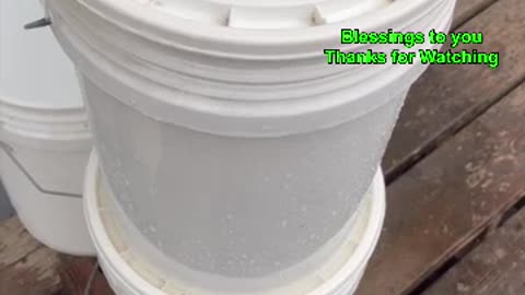 Safe Water Filtration System