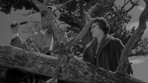 "The Looters" Starring Rory Calhoun, Julie Adams and Ray Denton