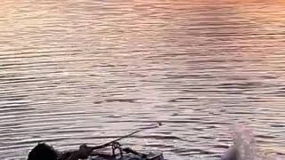 🤯✨ You Won't Believe the Human Experience! | FunFM