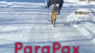 What Kind of Ancient Slavic Knowledge is This?