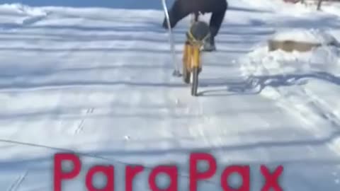 What Kind of Ancient Slavic Knowledge is This?