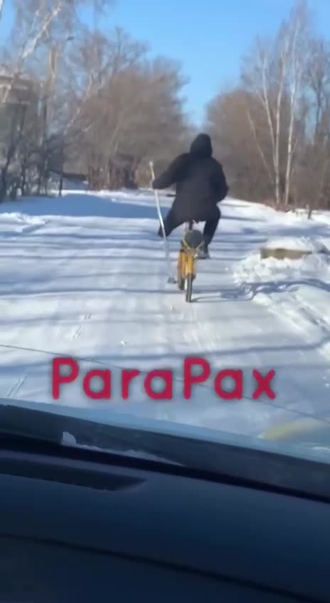 What Kind of Ancient Slavic Knowledge is This?