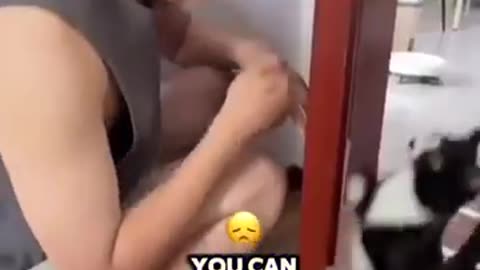 Another one bites the dust