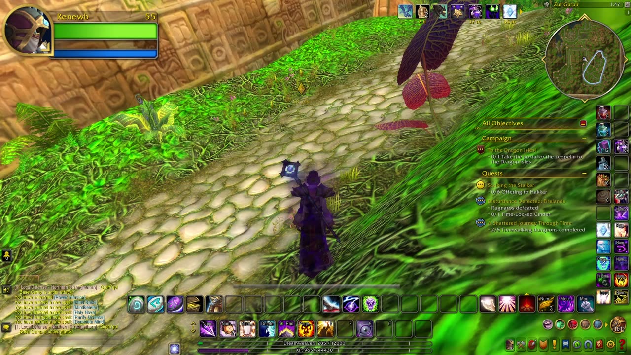 wow in 2025 p12 - zul gurub solo city of tol vir group end time group alt shammy stonecore group