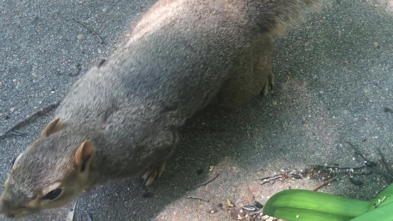 Eugene and his sister