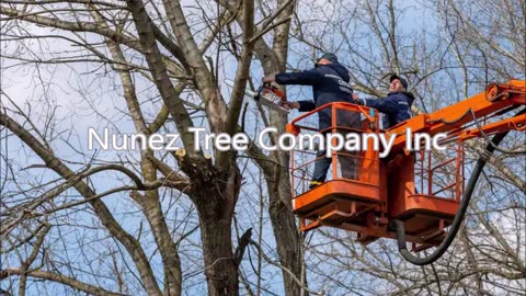 Nunez Tree Company Inc