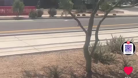 Phx vault