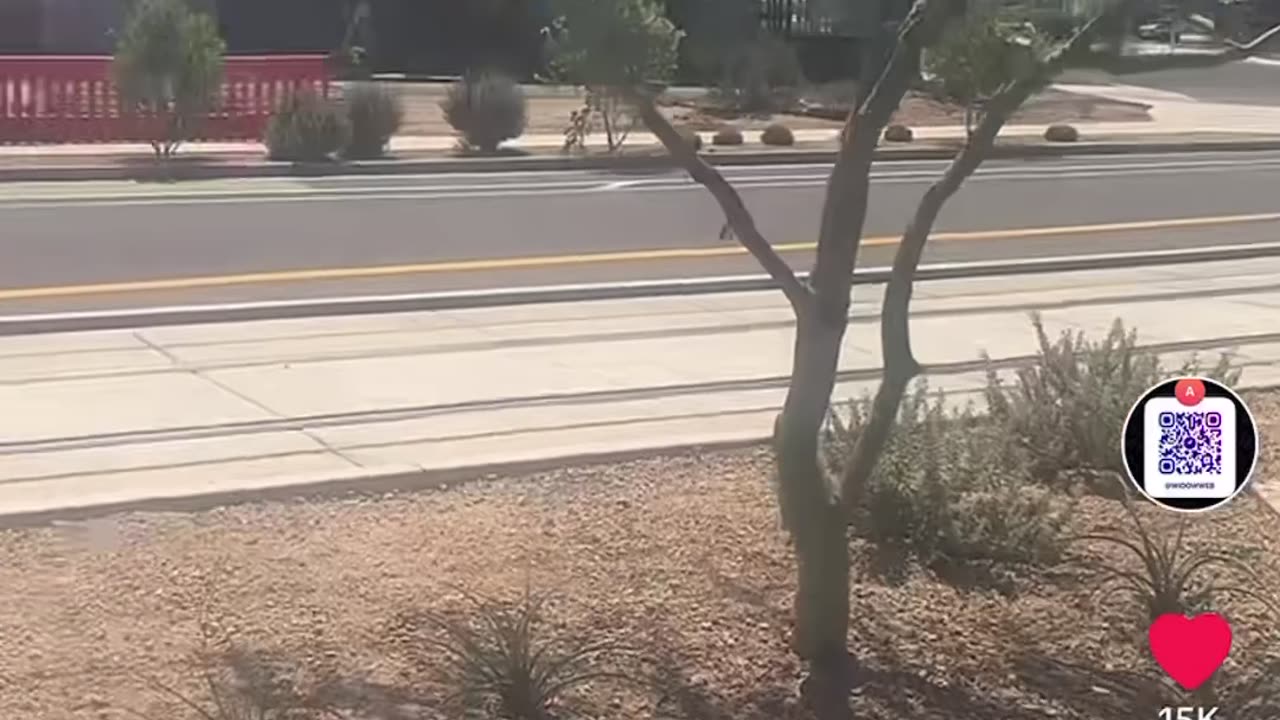 Phx vault