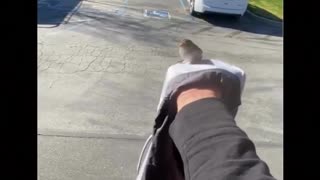 😂🚫 He's Not Going Anywhere! | FunFM