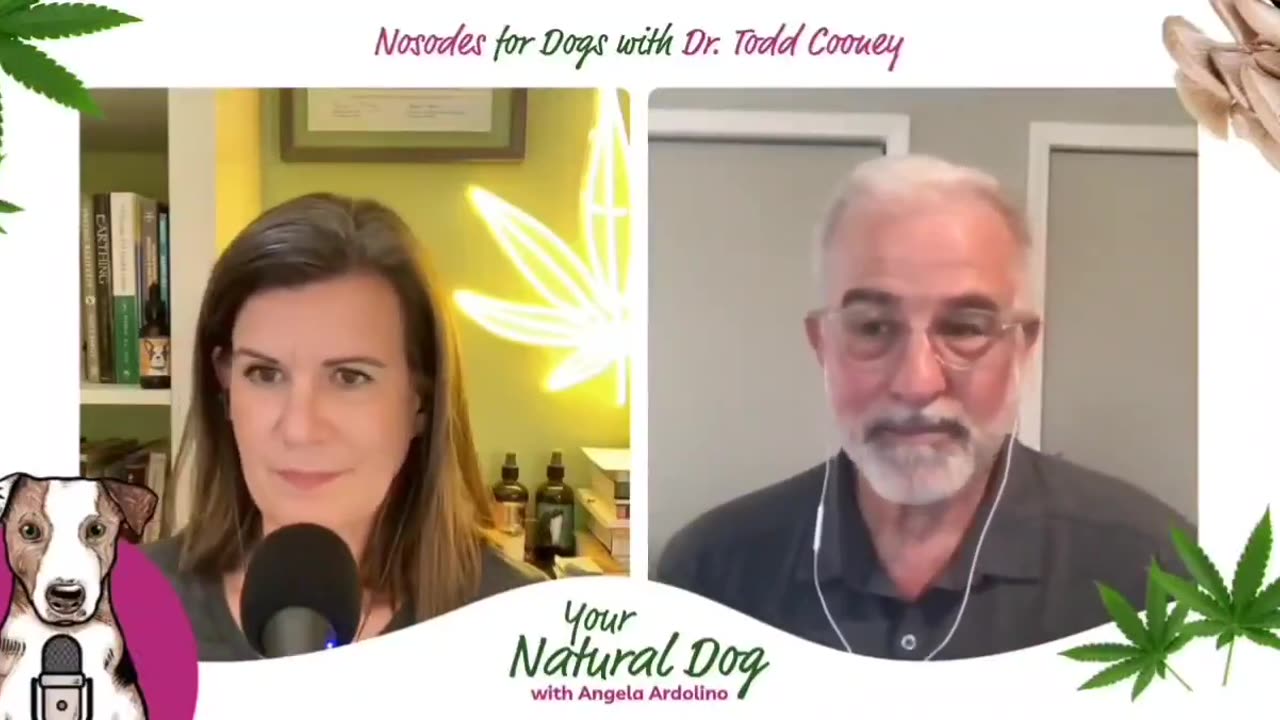 A study by Purdue found that 100% of the dogs developed an autoimmune disease after just one vaccine