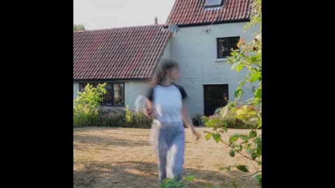 Lyra's Orchid Daisies(2025)