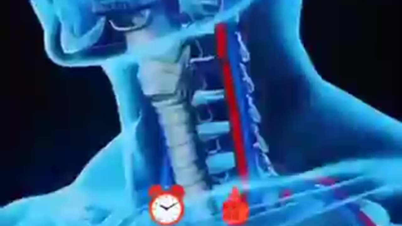 What Happens When YOU FAST For 36 Hours Straight?