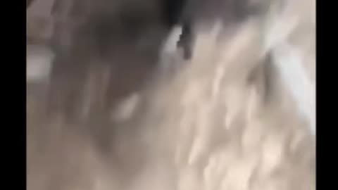 💀😱 4 Creepy Videos You'll Never Forget | TheHauntingHour