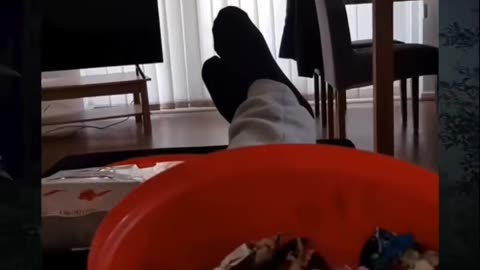 😱👻 What They Caught on Camera Will Give You Nightmares! Ouija & Poltergeist Activity | TheHauntingHo