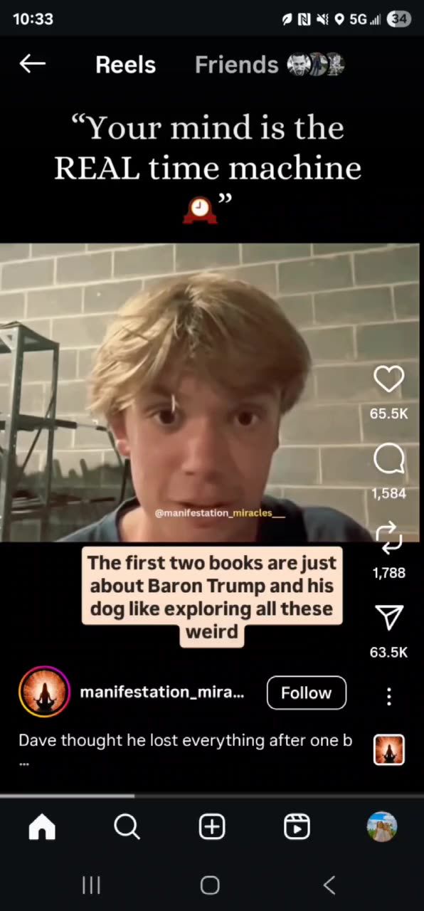 Time Travel and the Baron Trump Collection - Lets Go Down The Rabbit Hole!