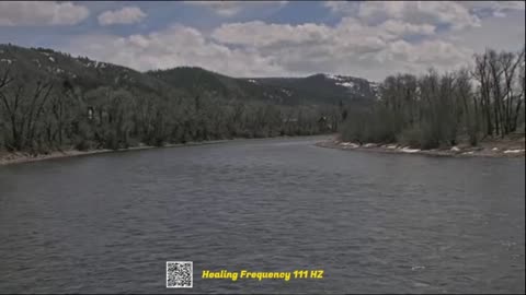 Live Healing Frequency