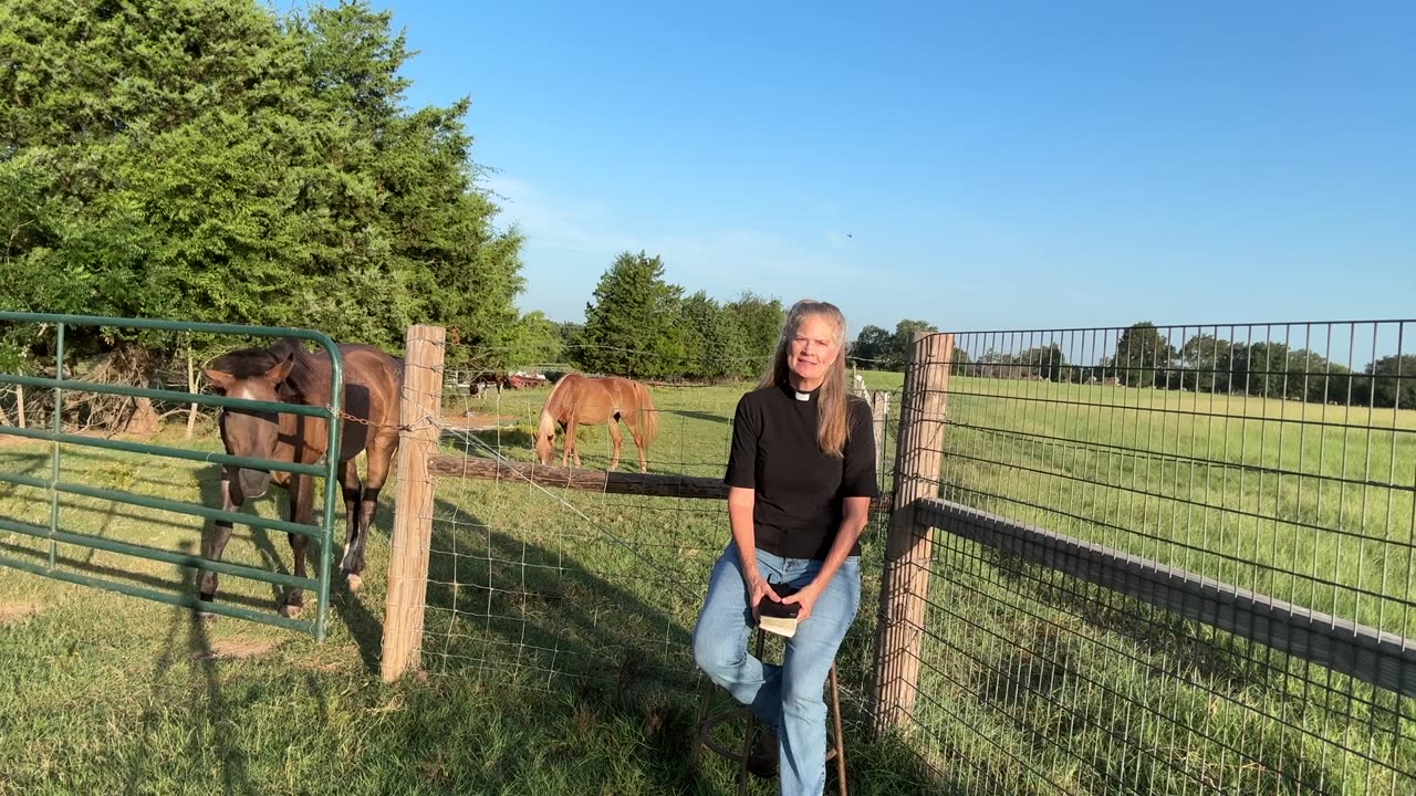 Morning Prayer, Daily office