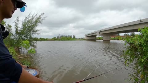 Roach Trolling in River Calm Pools