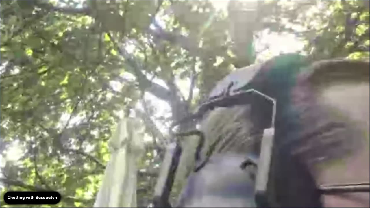 Thursday Afternoon Walk And Talk!