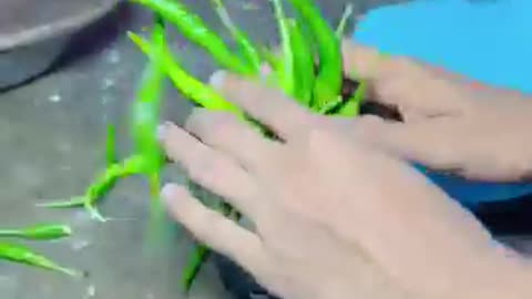 🌶 Boy Buys Mountain of Green Chillies! 🌶 | Spicy Adventure Begins!