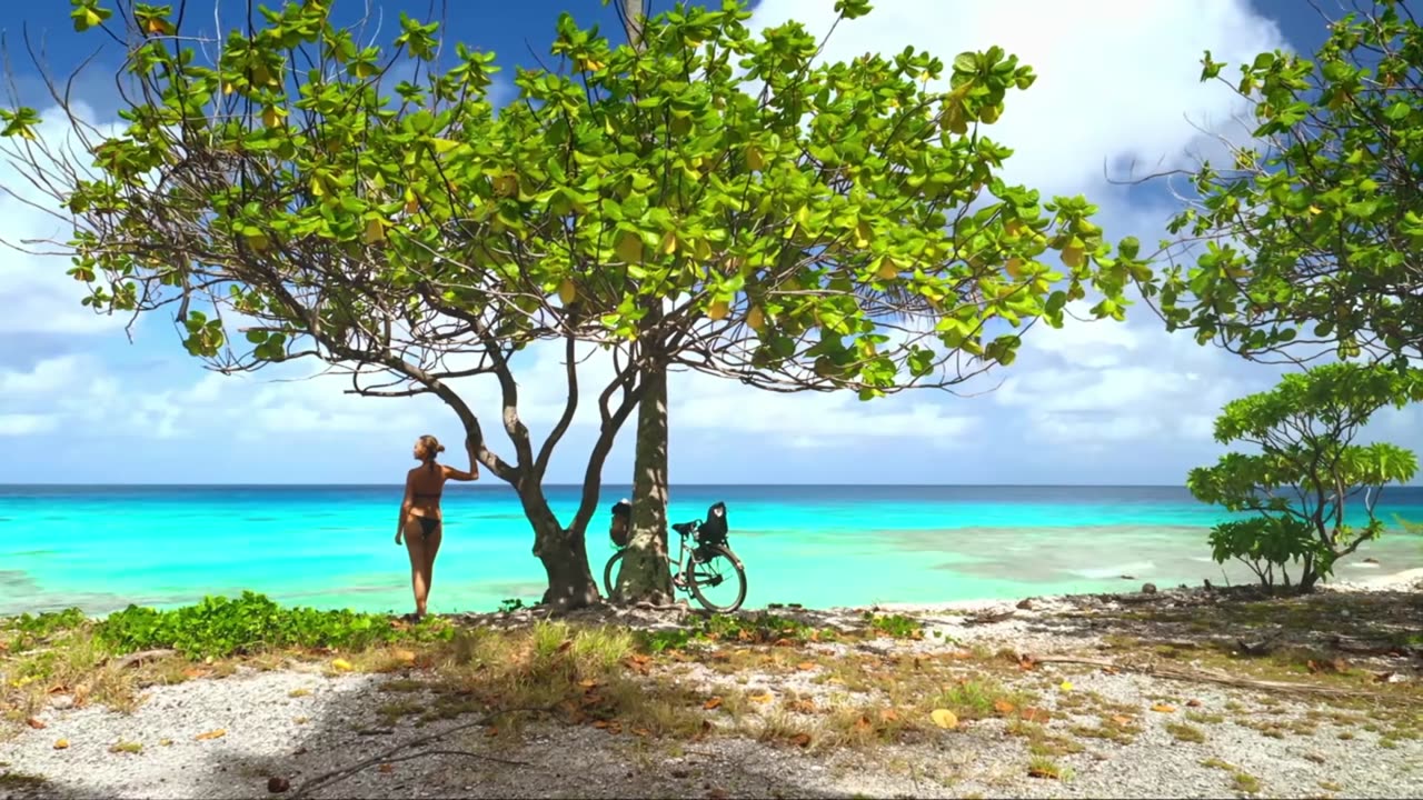 Coffee Shop House Jazz Vibes