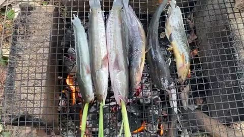 Grilled Fish and Tomato Sauce Recipe