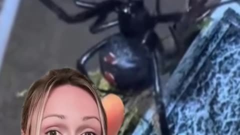 BLACK WIDOW🕷️ PACKAGE